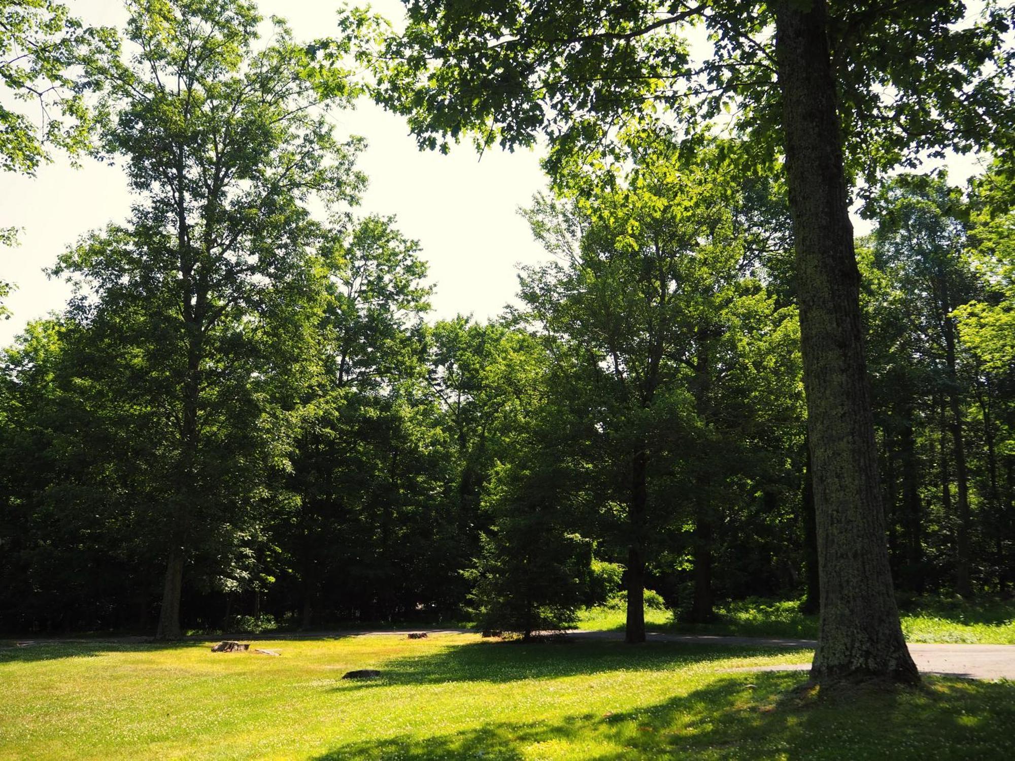 Woodfield Manor - A Sundance Vacations Property Cresco Exterior photo
